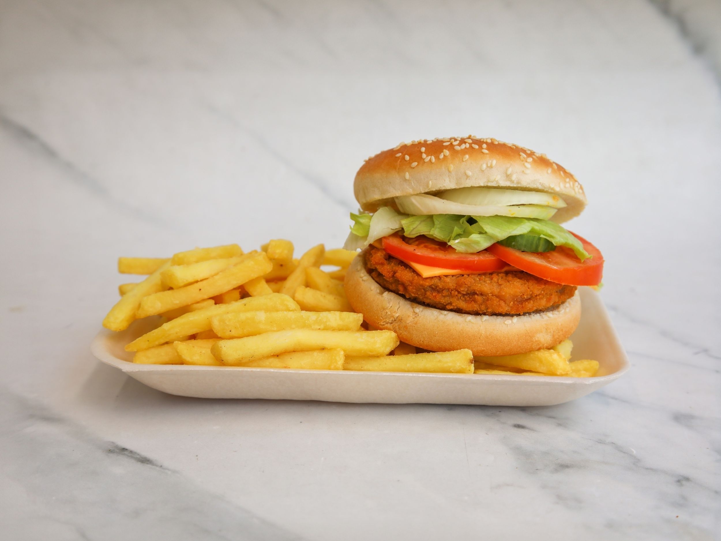 Soya Burger